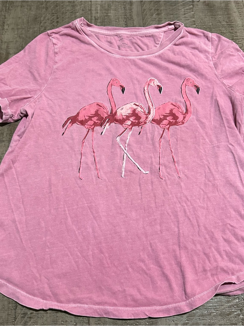Anthropologie Pink Flamingo Crewneck Tee